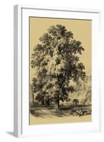 The Elm Tree-Vision Studio-Framed Art Print