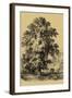 The Elm Tree-Vision Studio-Framed Art Print