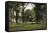 The Elm Walk-William Grylls Addison-Framed Stretched Canvas