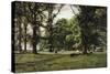 The Elm Walk-William Grylls Addison-Stretched Canvas