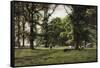 The Elm Walk-William Grylls Addison-Framed Stretched Canvas