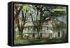 The Elms Mansion, Natchez, Mississippi-null-Framed Stretched Canvas