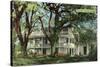 The Elms Mansion, Natchez, Mississippi-null-Stretched Canvas