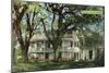 The Elms Mansion, Natchez, Mississippi-null-Mounted Art Print