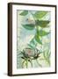 The Elusive Dragonfly and Waratah-Trudy Rice-Framed Art Print