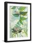 The Elusive Dragonfly and Waratah-Trudy Rice-Framed Art Print