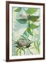 The Elusive Dragonfly and Waratah-Trudy Rice-Framed Art Print