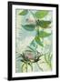 The Elusive Dragonfly and Waratah-Trudy Rice-Framed Art Print