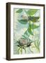 The Elusive Dragonfly and Waratah-Trudy Rice-Framed Art Print