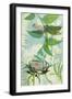 The Elusive Dragonfly and Waratah-Trudy Rice-Framed Art Print