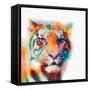 The Elusive II-Jacqueline Maldonado-Framed Stretched Canvas