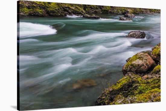 The Elwha River in Olympic National Park, Washington State, USA-Chuck Haney-Stretched Canvas