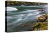 The Elwha River in Olympic National Park, Washington State, USA-Chuck Haney-Stretched Canvas