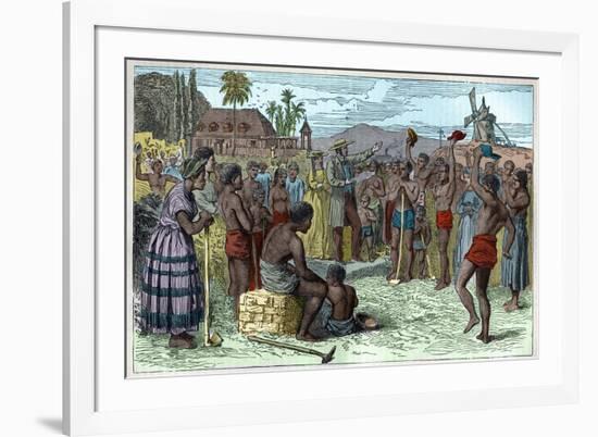 The emancipation of slaves on a West Indian plantation, early 19th century c1895-French School-Framed Giclee Print