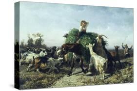 The Embarrassed Donkey, 1856-Filippo Palizzi-Stretched Canvas