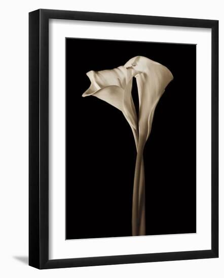 The Embrace-John Rehner-Framed Giclee Print