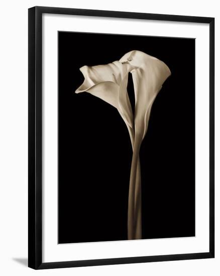 The Embrace-John Rehner-Framed Giclee Print