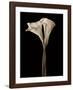 The Embrace-John Rehner-Framed Giclee Print