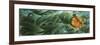 The Emerald Forest-Durwood Coffey-Framed Giclee Print