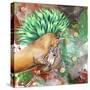 The Emerald Prince-Graeme Stevenson-Stretched Canvas