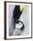 The Emperor Penguin, Atka Bay, Antarctica-Daisy Gilardini-Framed Photographic Print