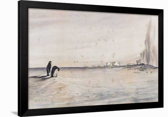 The Emperor Penguin Rookery, Cape Crozier-Edward Adrian Wilson-Framed Giclee Print