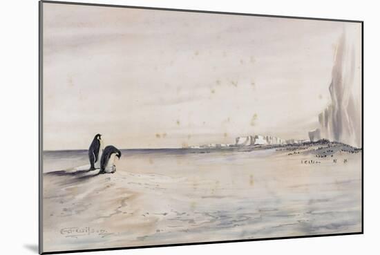 The Emperor Penguin Rookery, Cape Crozier-Edward Adrian Wilson-Mounted Giclee Print