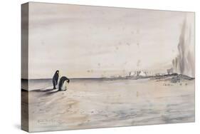The Emperor Penguin Rookery, Cape Crozier-Edward Adrian Wilson-Stretched Canvas