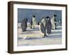 'The Emperors' Conclave', c1908, (1909)-George Marston-Framed Giclee Print