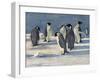 'The Emperors' Conclave', c1908, (1909)-George Marston-Framed Giclee Print