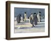 'The Emperors' Conclave', c1908, (1909)-George Marston-Framed Giclee Print