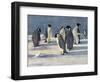 'The Emperors' Conclave', c1908, (1909)-George Marston-Framed Giclee Print