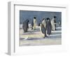 'The Emperors' Conclave', c1908, (1909)-George Marston-Framed Giclee Print
