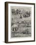 The Empire of India Exhibition at Earl's Court-Joseph Holland Tringham-Framed Giclee Print