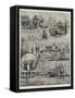 The Empire of India Exhibition at Earl's Court-Joseph Holland Tringham-Framed Stretched Canvas