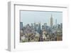 The Empire State Building and Manhattan skyline, New York City, United States of America, North Ame-Fraser Hall-Framed Photographic Print