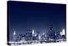 The Empire State Building and New York City Skyline at Night-Zigi-Stretched Canvas