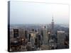 The Empire State Building and the Manhattan Skyline-null-Stretched Canvas