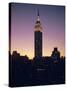 The Empire State Building, New York, New York State, USA-Christina Gascoigne-Stretched Canvas