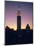 The Empire State Building, New York, New York State, USA-Christina Gascoigne-Mounted Photographic Print