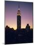 The Empire State Building, New York, New York State, USA-Christina Gascoigne-Mounted Photographic Print