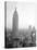 The Empire State Building-null-Stretched Canvas