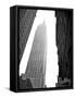 The Empire State Building-Rip Smith-Framed Stretched Canvas