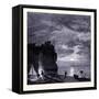 The Empress of the Lake United States of America-null-Framed Stretched Canvas