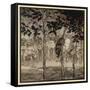 The Enchanted Cave-Arthur Rackham-Framed Stretched Canvas