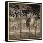 The Enchanted Cave-Arthur Rackham-Framed Stretched Canvas