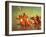 The End - Captured Bluecoat-Charles Shreyvogel-Framed Art Print