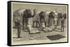 The End of the Afghan War, Elephants at Mess, Safaed Sung-Samuel Edmund Waller-Framed Stretched Canvas