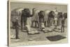 The End of the Afghan War, Elephants at Mess, Safaed Sung-Samuel Edmund Waller-Stretched Canvas