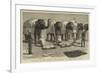 The End of the Afghan War, Elephants at Mess, Safaed Sung-Samuel Edmund Waller-Framed Premium Giclee Print